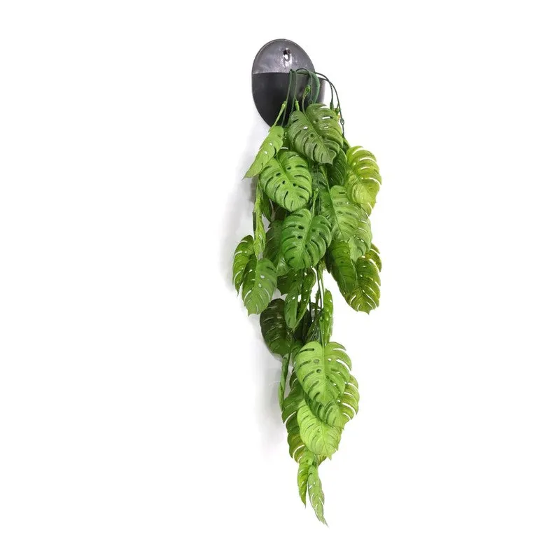 Floravue Artificial Monstera Creeper - Set of Three media 5