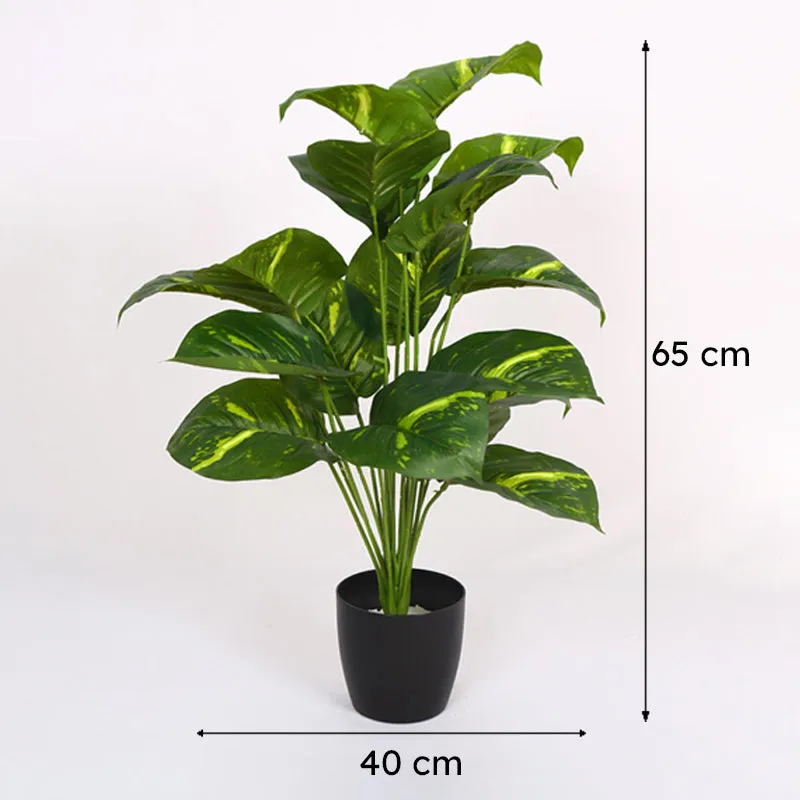 Verdura Artificial Pothos Plant With Black Plastic Pot - 2 Feet media 8