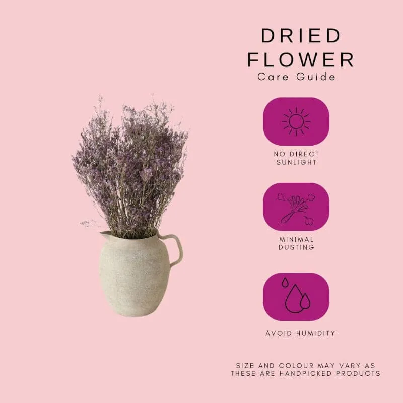 Naturally Dried Limonium Flower Bunch media 3