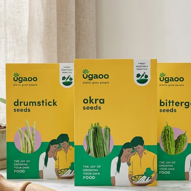 Ugaoo Veges Seeds (Bittergourd, Drumstick, Okra) - Set Of Three media 3