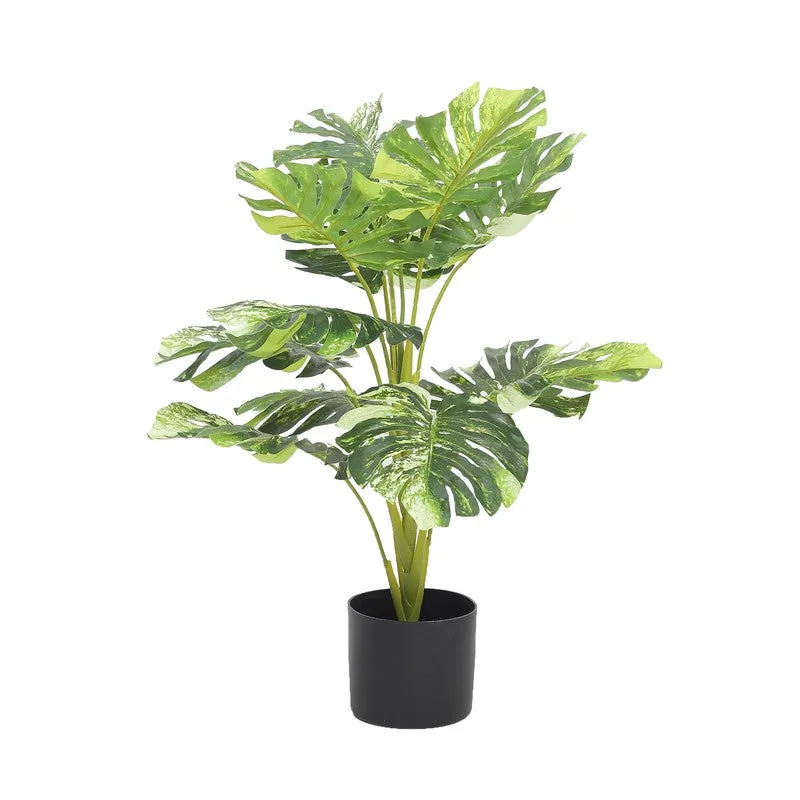 LeafScape Artificial Plant With Black Plastic Pot - 2.5 ft media 5