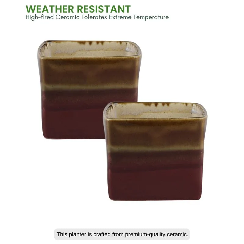 PureLuxe Pots & Planters (Brown) - Set Of Two media 5