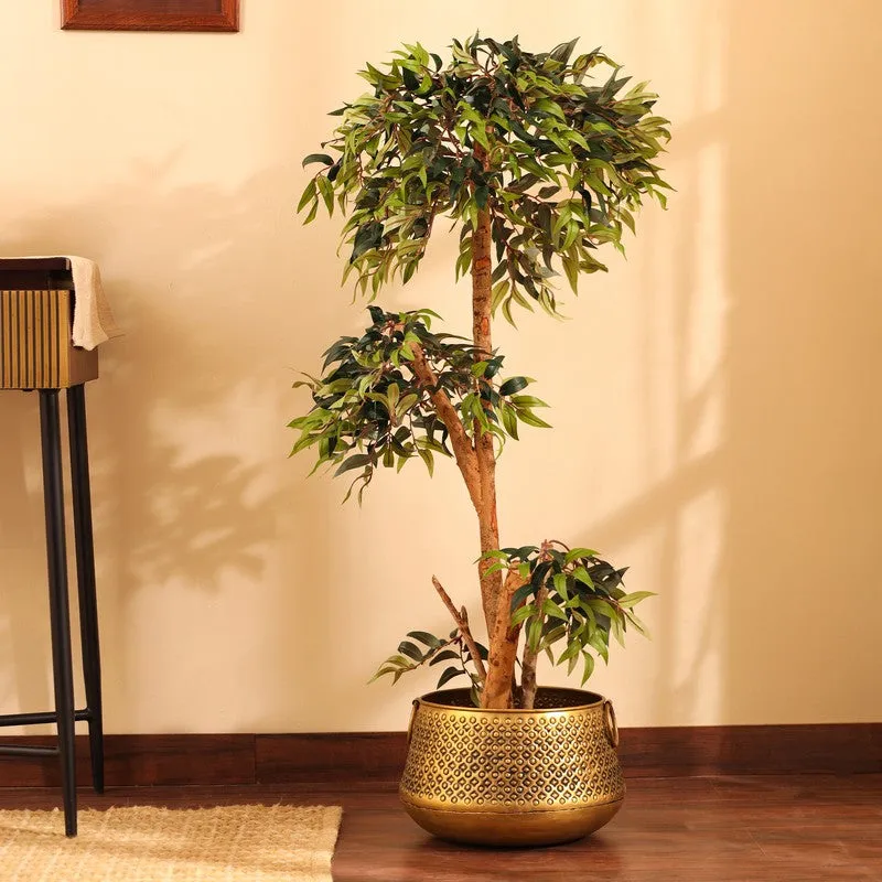 Artificial Green Ficus Bonsai Plant With Black Plastic Pot - 4 ft media 1