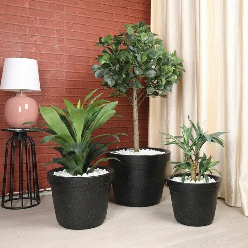 Three black planters in different sizes styled with indoor plants