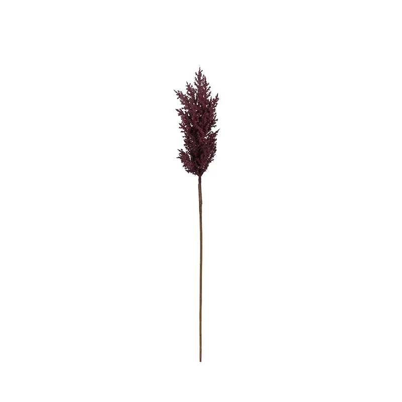 Pampera Artificial Pampas Without Vase (Maroon) - 3 Feet media 6