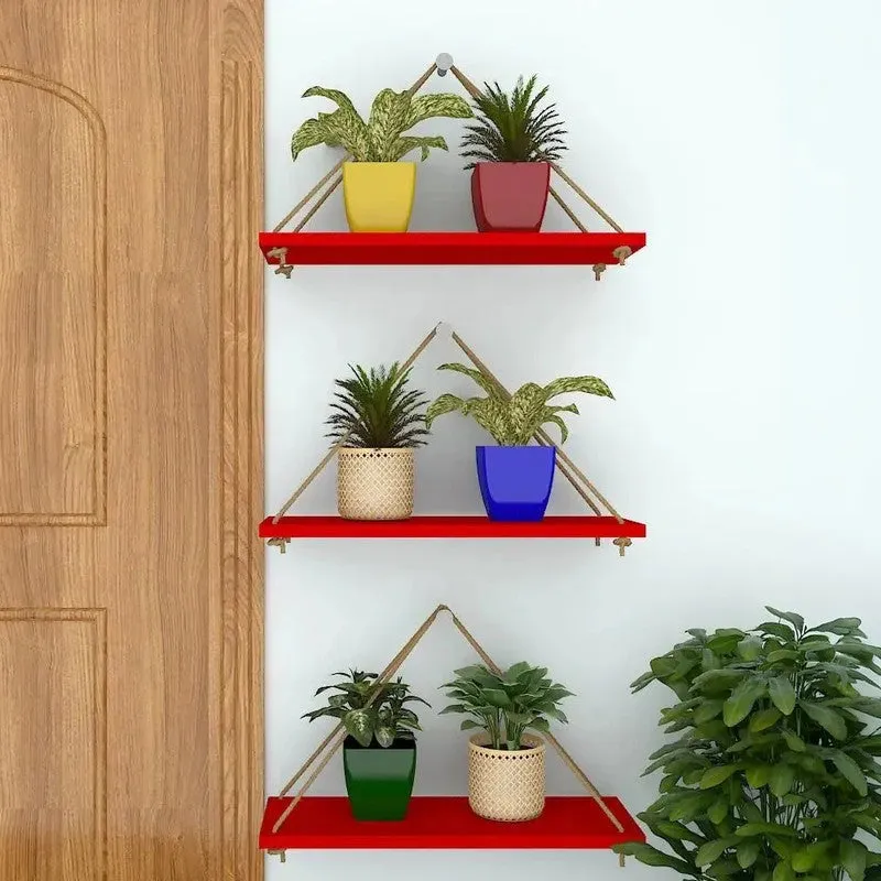 Home Glow (MDF,Wood) Shelves - Set Of Three media 1