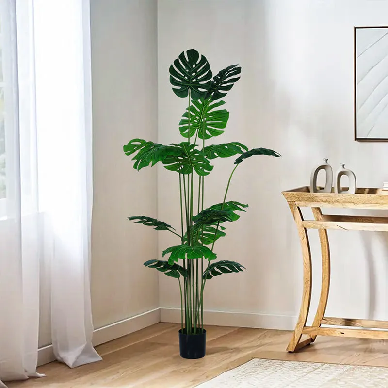 Striga Artificial Monstera  With Black Plastic Pot - 6 Feet media 3