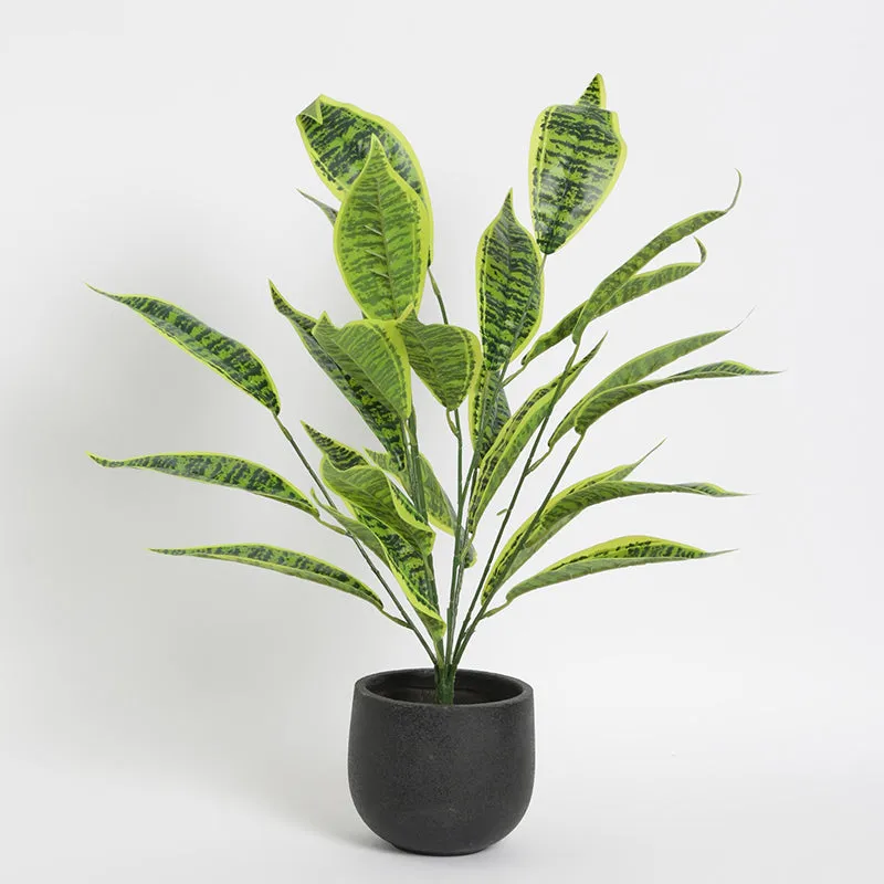 Faux Iceton Snake Plant - 2.2 Feet media 3