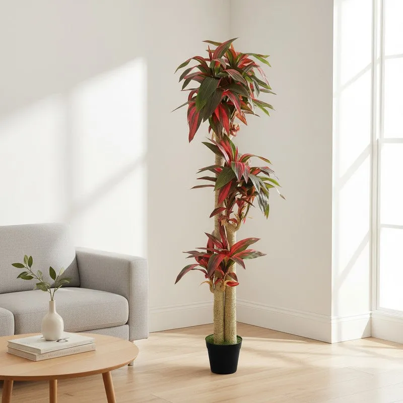 Everloft Artificial Dracaena Green Tree With Black Plastic Pot 5.7 ft media 4