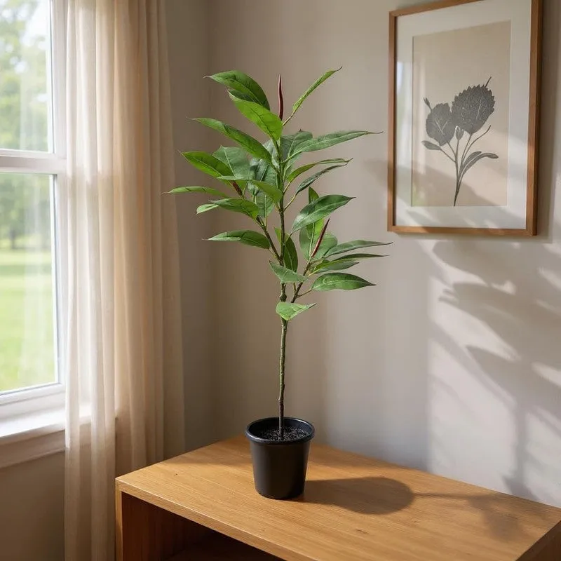 Leafessa Artificial Fiddle Fig Plant With Black Plastic Pot - 3.1 Feet media 3