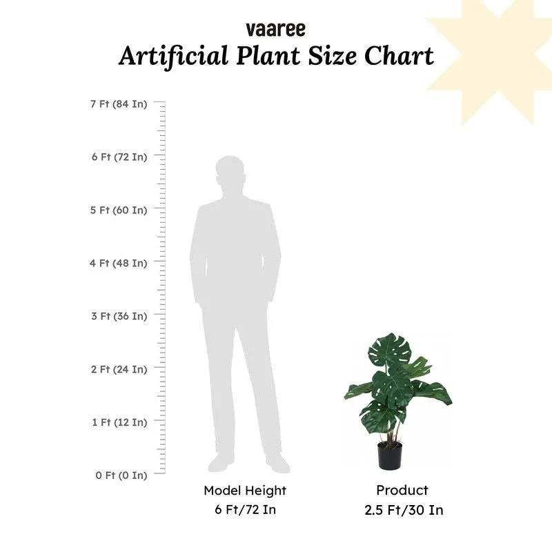Artificial Monstera plant shown beside a human height silhouette