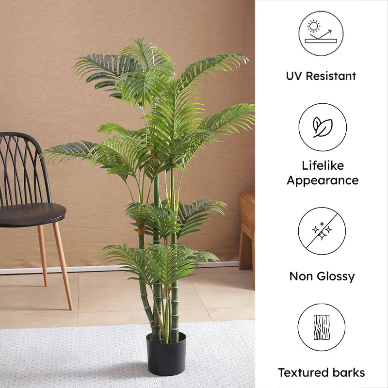 Faux Tropic Cane Palm With Black Plastic Pot - 4.27 ft media 6