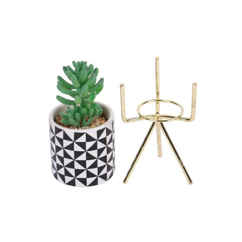 Faux Senecio In Patterned Pot With Tripod - 21.5 cms media 4