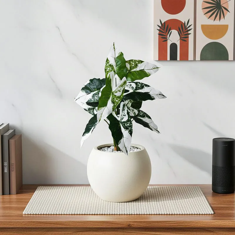 Faux Everlasting Infinity Caladium Plant With Black Plastic Pot - 79 cm (2.6 ft) media 1