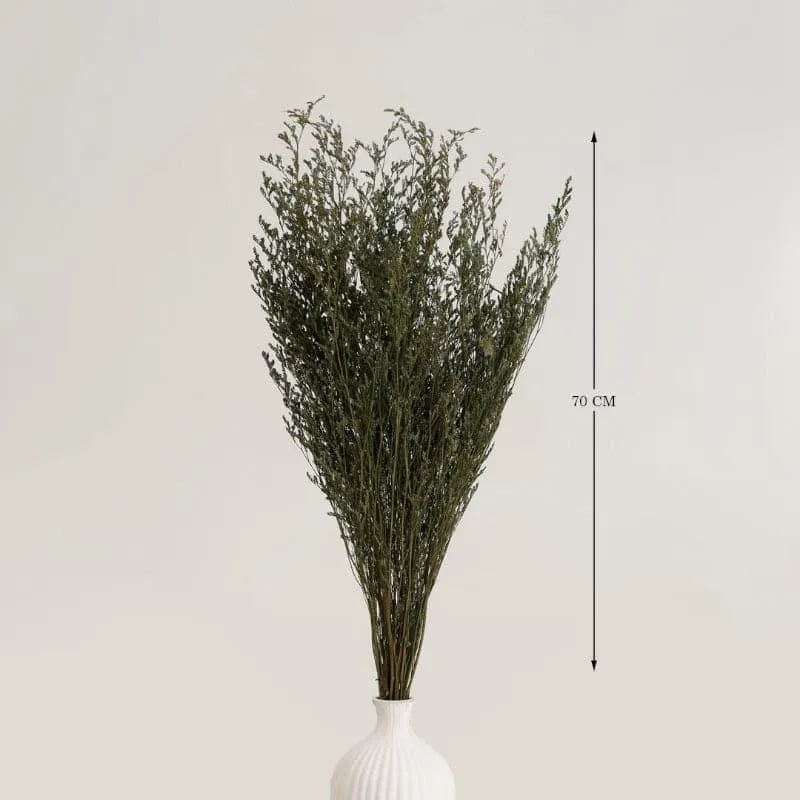 Luzi Lavender Dried Limonium Grass Bunch - Green media 4