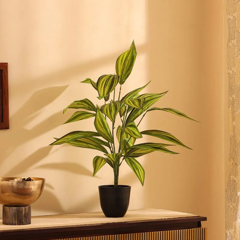 Artificial Croton Faux Plant With Pot - 2 ft media 2
