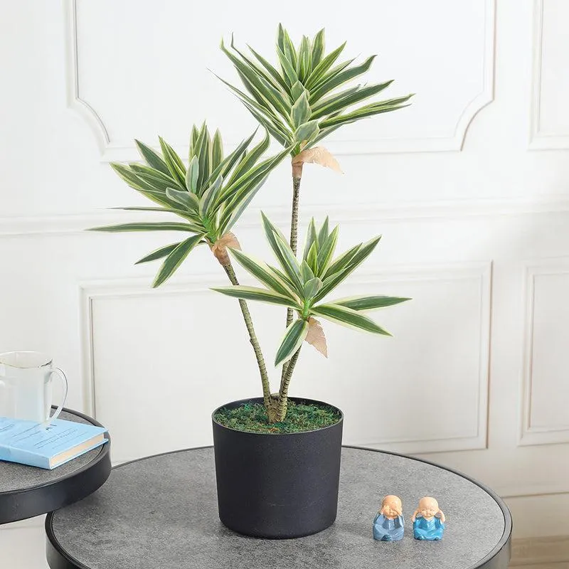 Timeless Sprouts Artificial Plant With Black Plastic Pot media 3