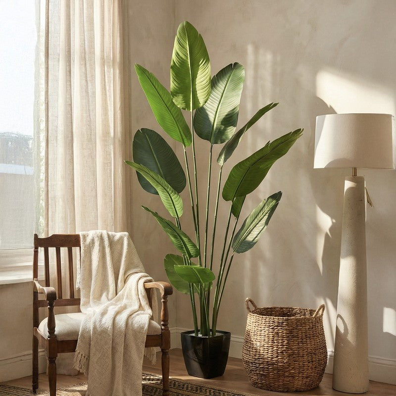 Virella Banana Leaf Palm Plant With Black Plastic Pot - 5.9 ft media 2