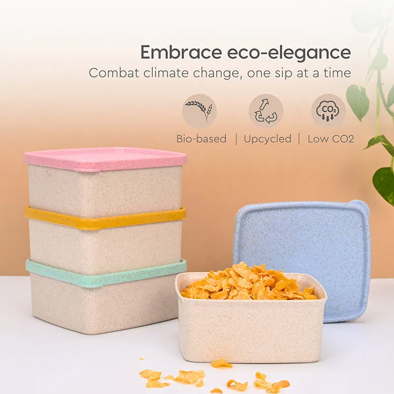 FloraTote Container Box (500 mL Eacht) - Set Of Four media 3