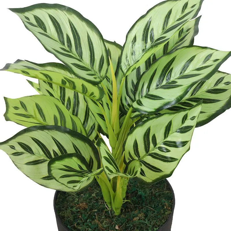 Green Spirit Artificial Plant With Black Plastic Pot media 6