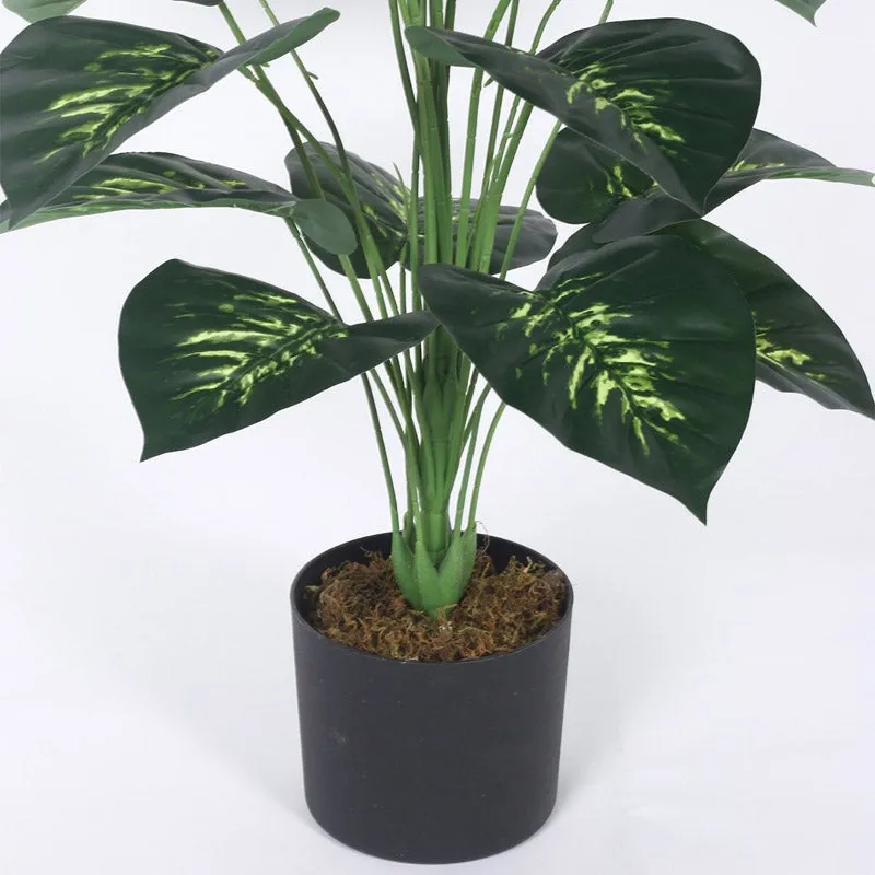 Faux Realtouch Green Dieffenbachia Tree With Black Plastic Pot - 3.3 Feet media 6