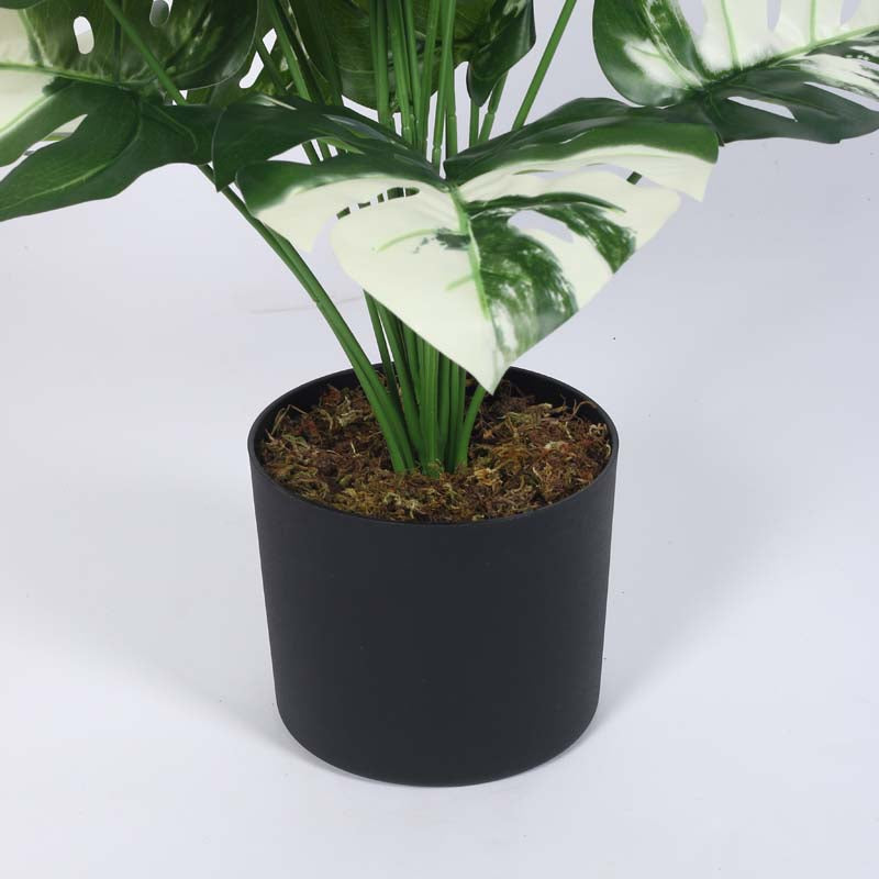 Faux Lush White Monstera Plant With Black Plastic Pot - 2.6 Feet media 6