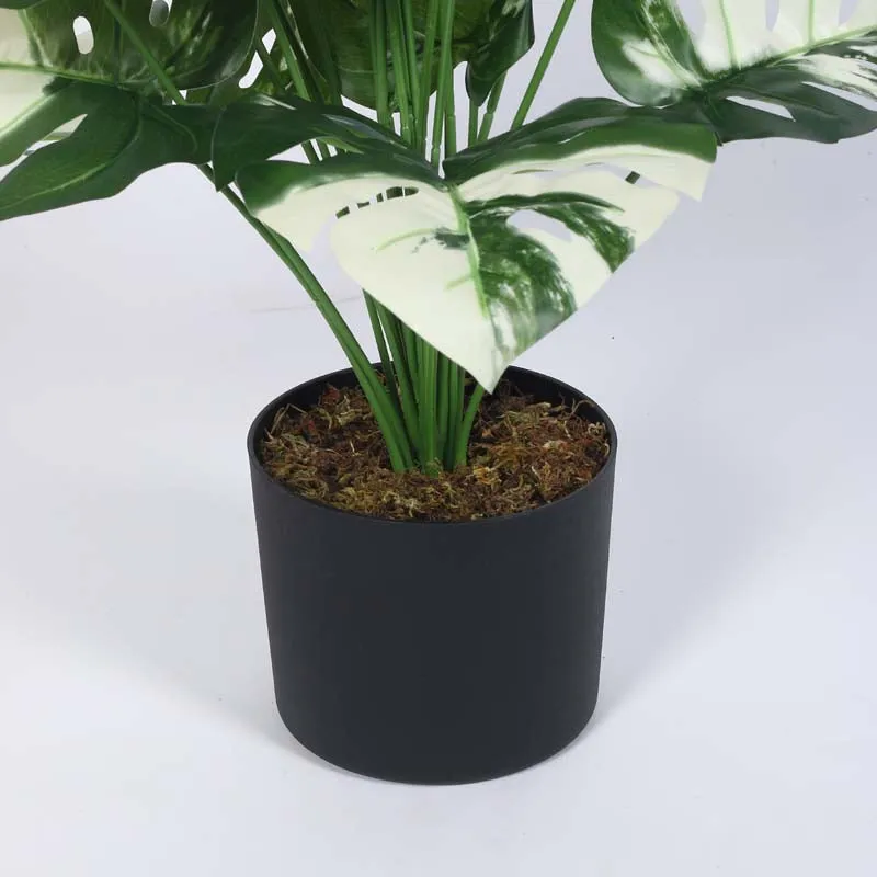 Faux Lush White Monstera Plant With Black Plastic Pot - 2.6 Feet media 6
