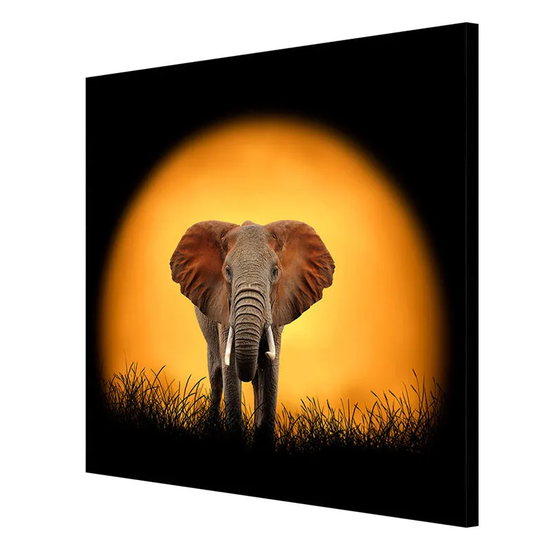 Elephant At Sunset Wall Painting media 6