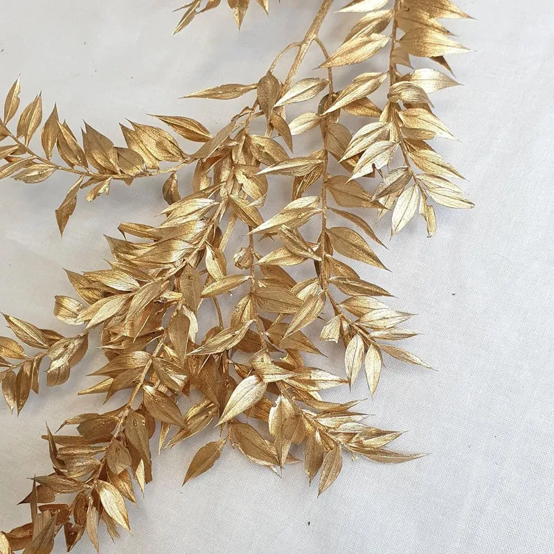 Dried Ruscus Bunch (Gold) - Set Of Three media 3