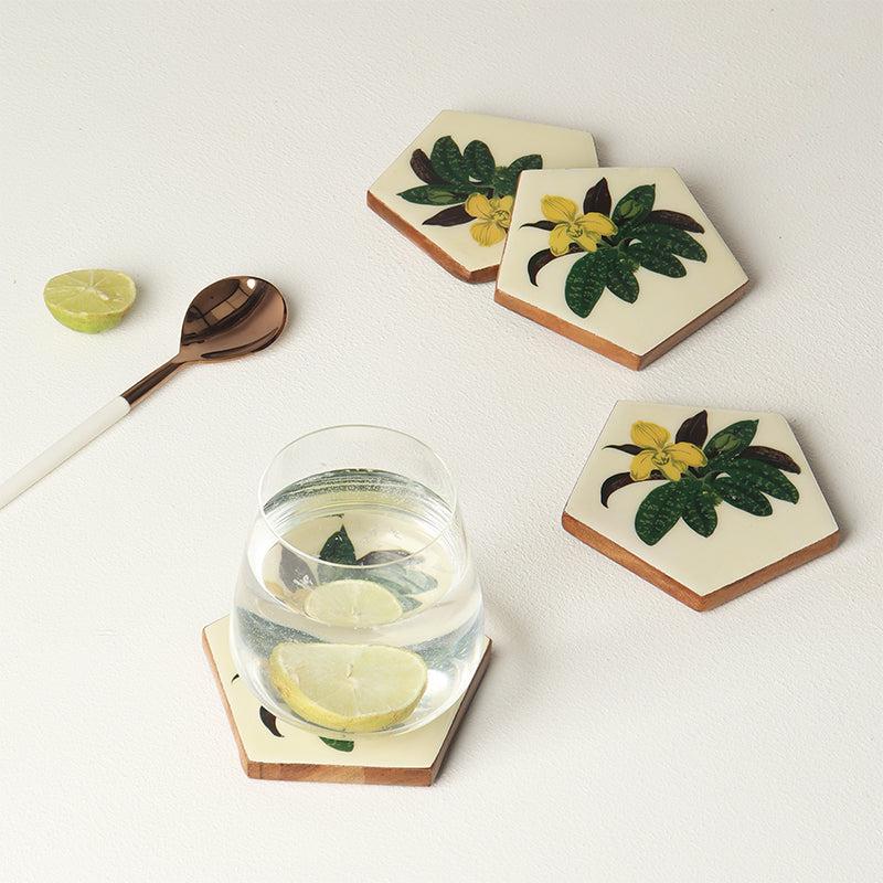 Valina Acacia Wood Coasters - Set Of Four