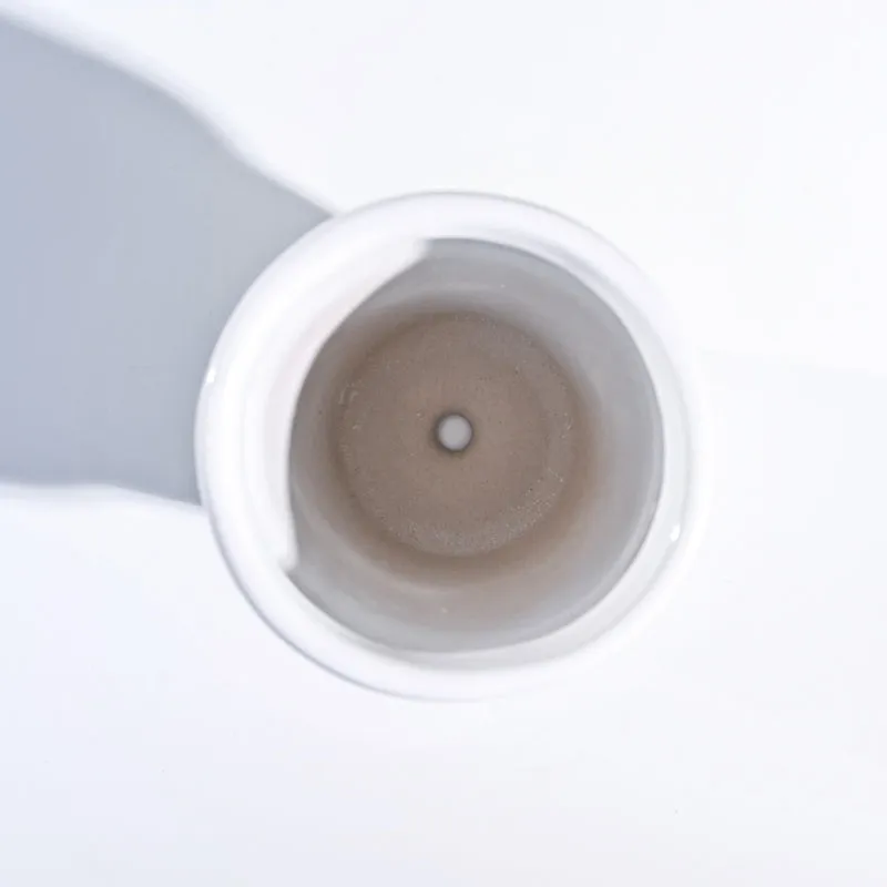 Ugaoo The Dream White Small Ceramic Pot media 5