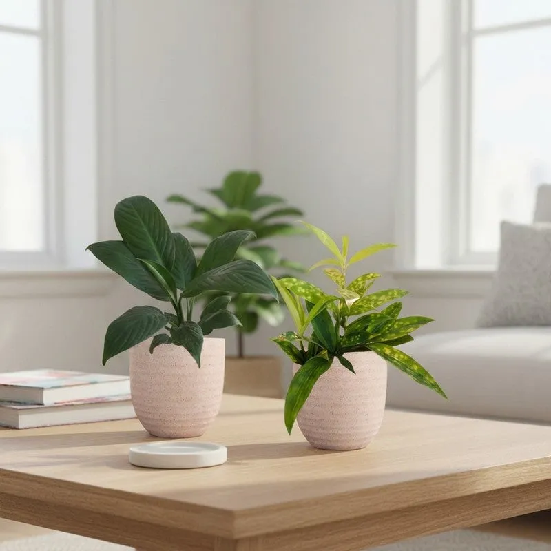 Greenkin Bamboo & Lily Live Plants (Ivory) - Set Of Two media 1