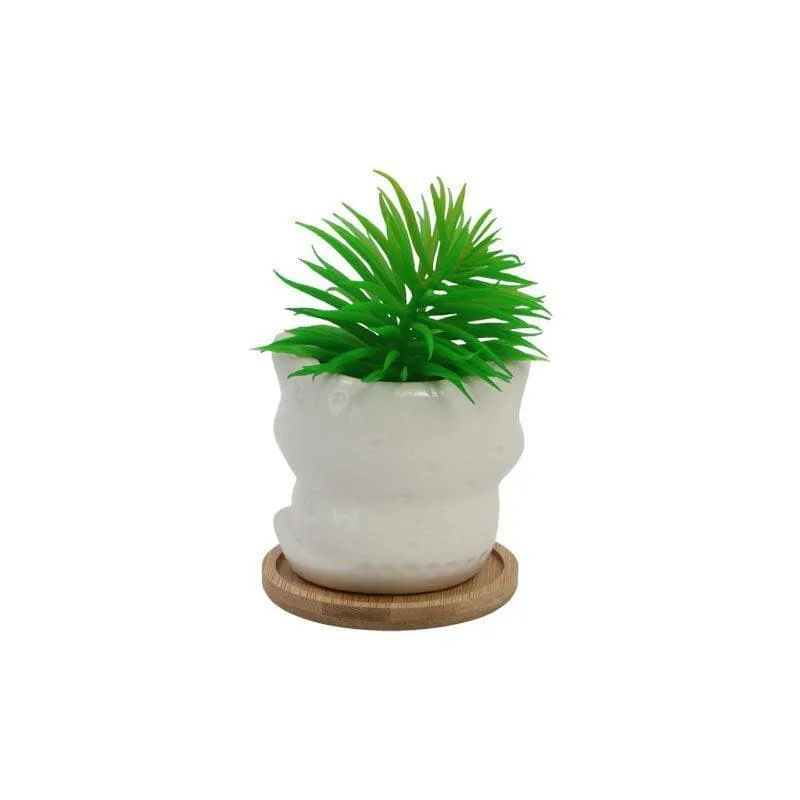 Faux Senecio In Foxy Face Pot - 13 cms media 5