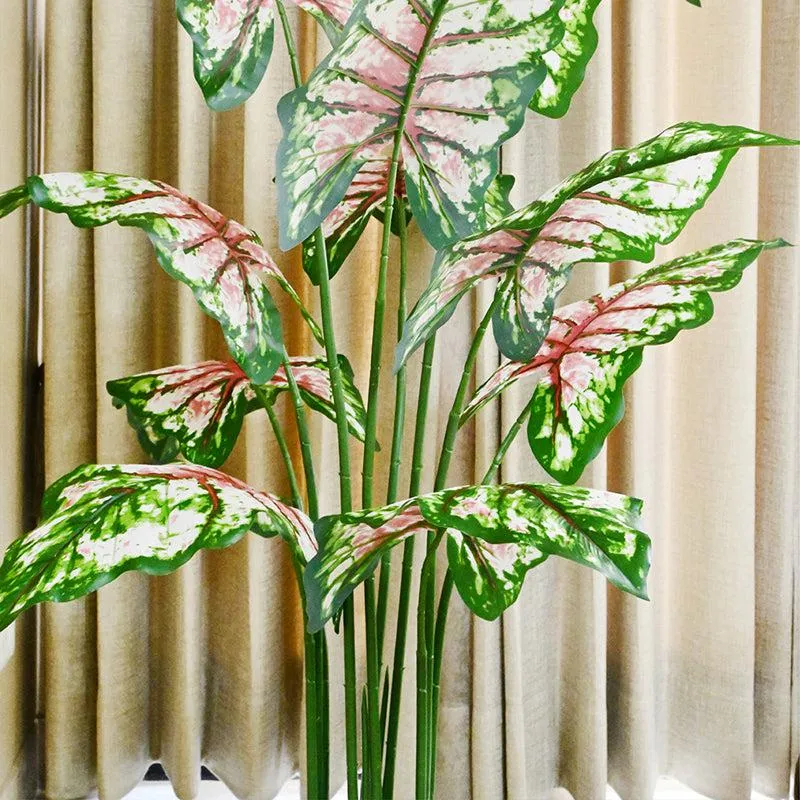 Calatrop Artificial Tropical Caladium With Basic Black Plastic Pot - 150 cm (5 ft) media 4