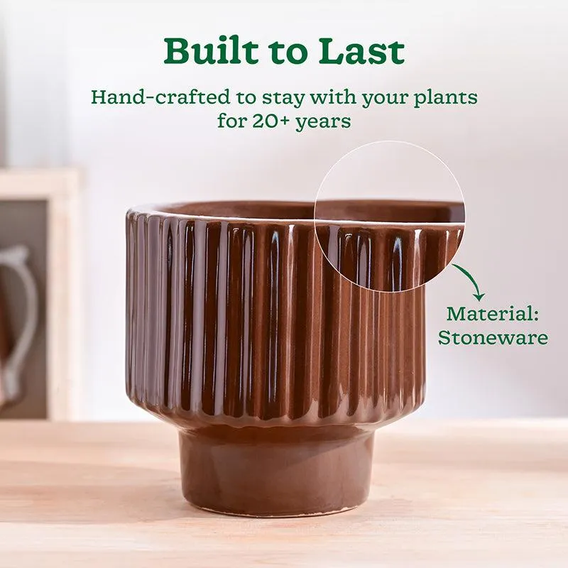 Ugaoo Classic Stria Ceramic Planter - Brown media 3