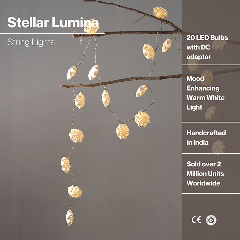 Fig Living Stellar Lumina String Light media 6