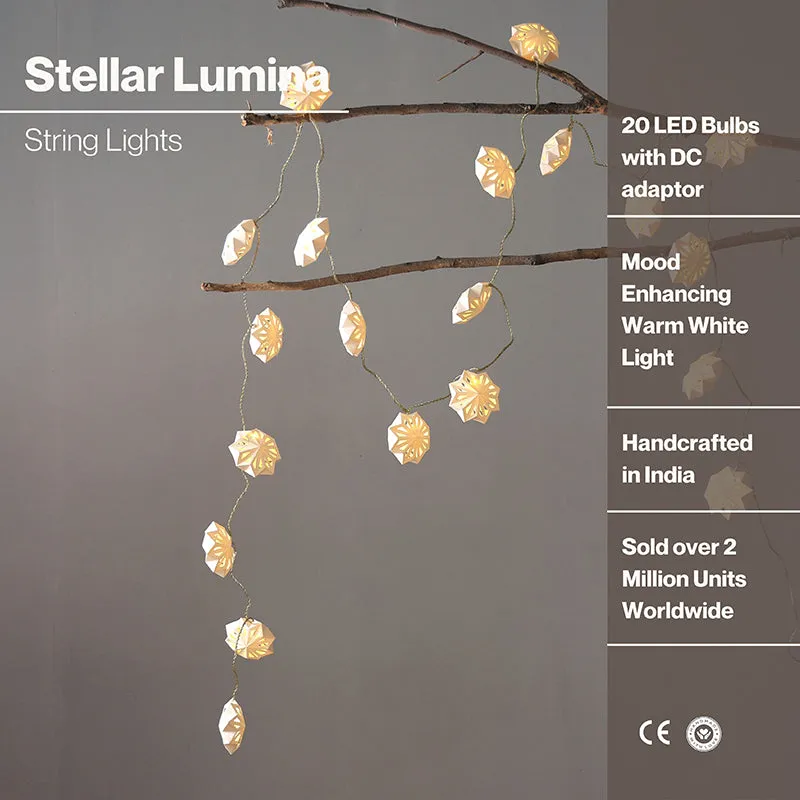 Fig Living Stellar Lumina String Light media 6