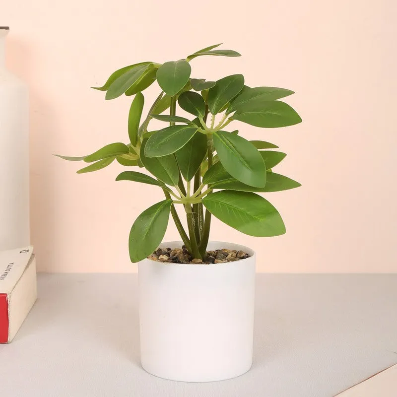 Artificial Schefflera Plants With Pot - Green media 1
