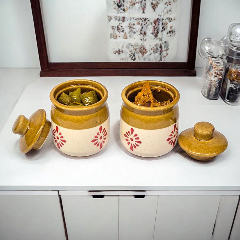 Ethnika Bharni Ceramic Jar (100 mL Each) - Set Of Two media 3