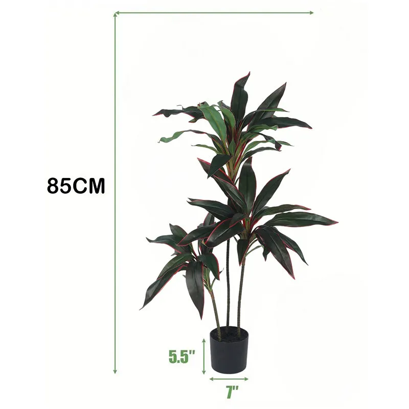 Edora Artificial Dracaena With Black Plastic Pot - 4 Feet media 6