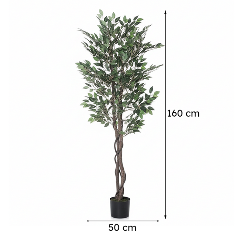 Faux Cape Ficus Plant With Black Plastic Pot - 5.25 ft media 8