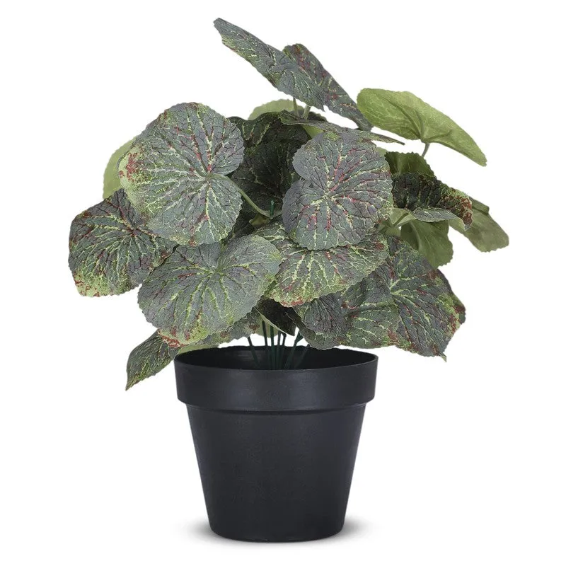 Artificial Green Begonia Plant With Black Plastic Pot media 3