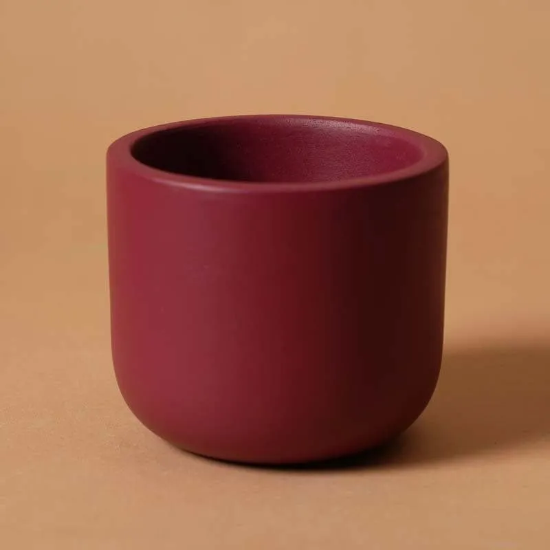 Elegant Terracotta Purple Planter Pot media 5
