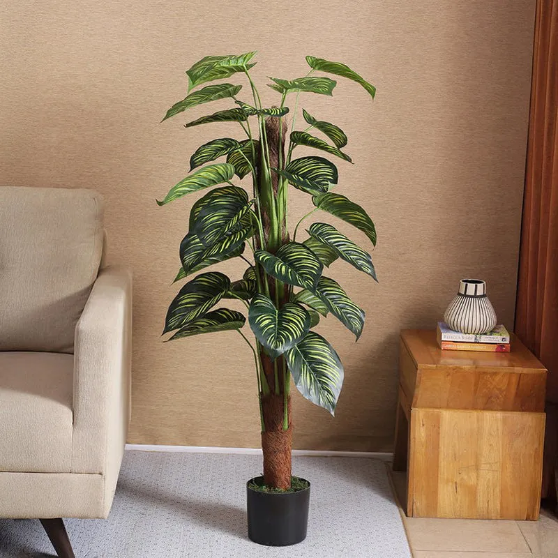Faux Lush Peperomia Plant With Black Plastic Pot -  4 Feet media 3