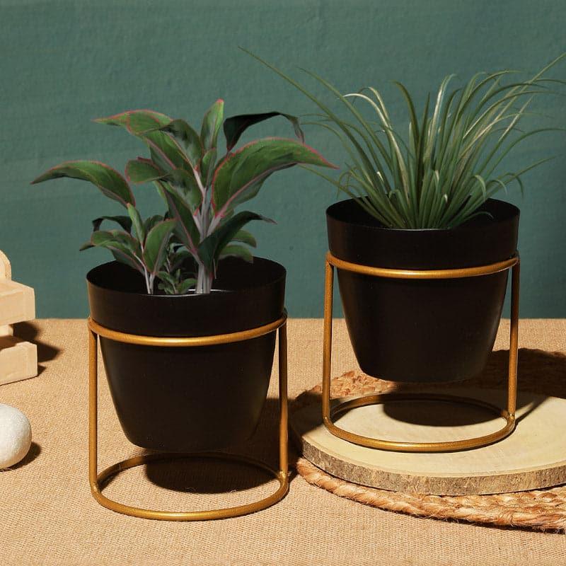 Parona Metal Planter - Set Of Two media 3