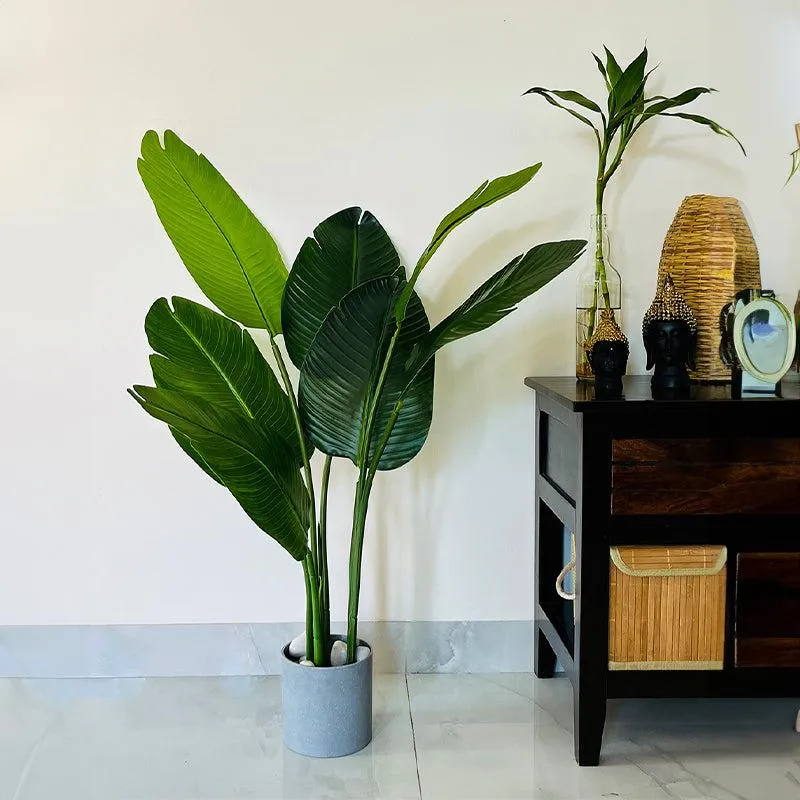 Faux Everlasting Bird of Paradise Plant With Black Plastic Pot - 108 cm (3.5 ft) media 3