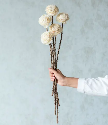 Dried Flowers & Leaves