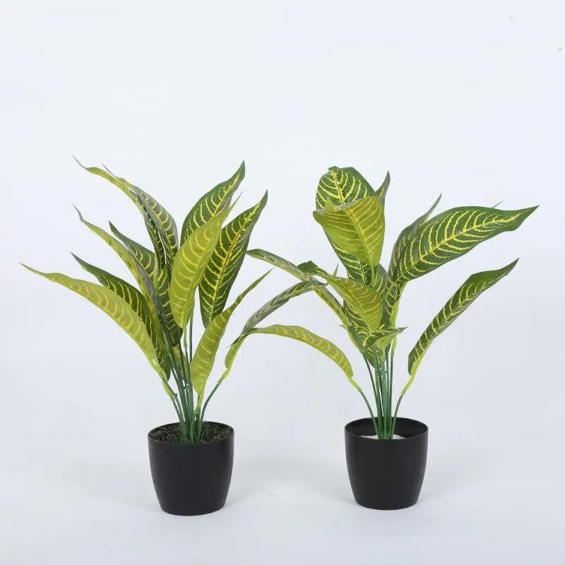 Faux Dracaena Plant With Black Plastic Pot (50 cms) - Set Of Two media 4