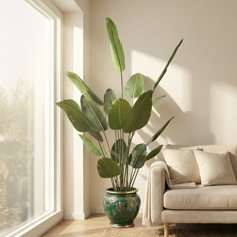 Virella Banana Leaf Palm Plant With Black Plastic Pot - 7.2 ft media 5