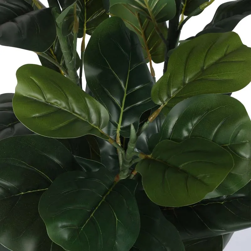 Modern Lush Fiddle Leaf Fig Plant With Black Fiber Pot - 4.6 Feet media 5
